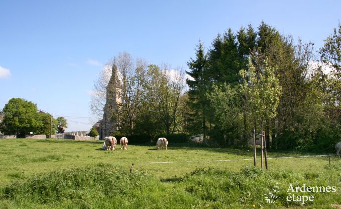 Ferienhaus Durbuy (M�an) 18 Pers. Ardennen