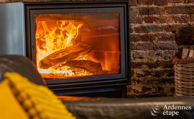 Ferienhaus in Drubuy (M�an), Ardennen, 7 Schlafzimmer, 3 Badezimmer, 19 Personen, privater Garten, Kinder- und Freizeitausstattung