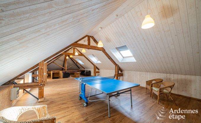 Ferienhaus in Drubuy (M�an), Ardennen, 7 Schlafzimmer, 3 Badezimmer, 19 Personen, privater Garten, Kinder- und Freizeitausstattung