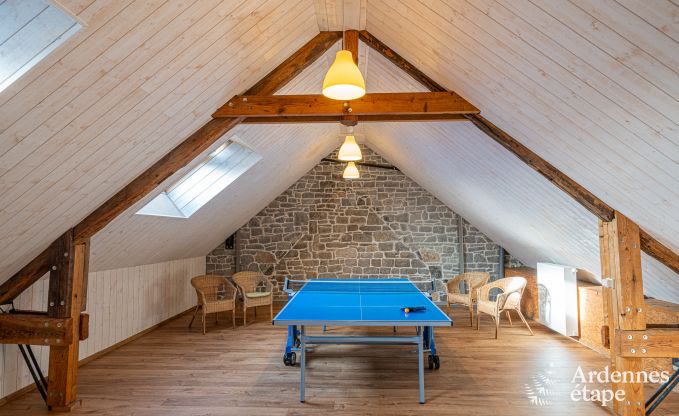 Ferienhaus in Drubuy (M�an), Ardennen, 7 Schlafzimmer, 3 Badezimmer, 19 Personen, privater Garten, Kinder- und Freizeitausstattung