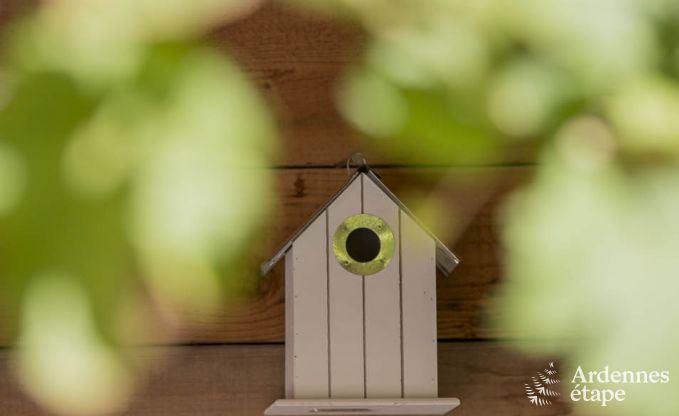 Ferienhaus Durbuy (Wris) 11 Pers. Ardennen