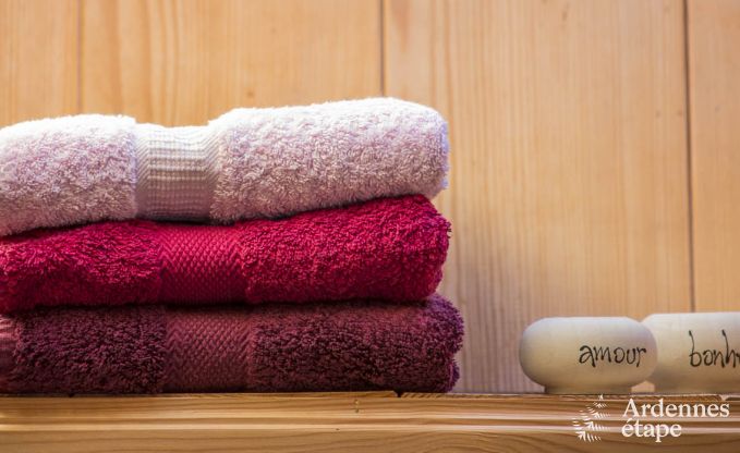 Ferienhaus Durbuy (Wris) 11 Pers. Ardennen