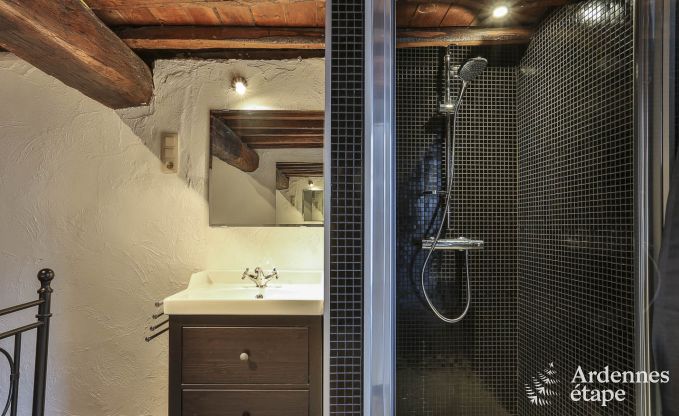 Ferienhaus Durbuy (W�ris) 15 Pers. Ardennen Wellness