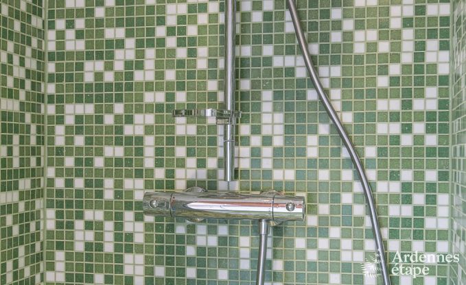 Ferienhaus Durbuy (Wris) 15 Pers. Ardennen Wellness