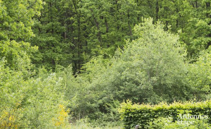 Chalet Durbuy 8 Pers. Ardennen Wellness