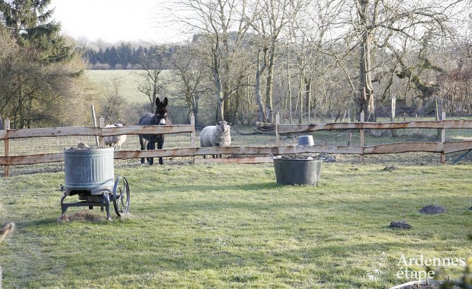 Ferienhaus Durbuy 9 Pers. Ardennen