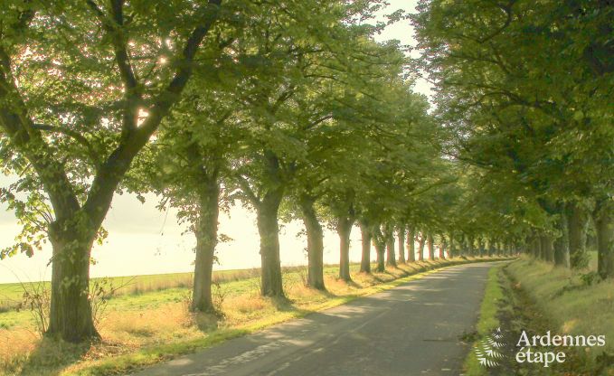 Ferienhaus Durbuy 6 Pers. Ardennen