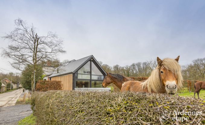 Ferienhaus Durbuy 4 Pers. Ardennen