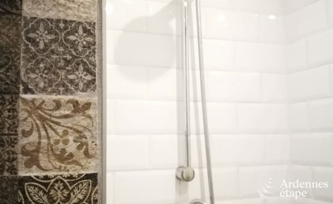 Ferienhaus Durbuy 9 Pers. Ardennen