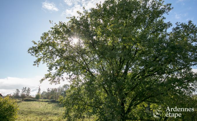 Ferienhaus Durbuy 8 Pers. Ardennen