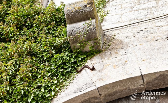 Ferienhaus in Durbuy: 32 Personen, 12 Schlafzimmer, privater Garten, Herz der belgischen Ardennen