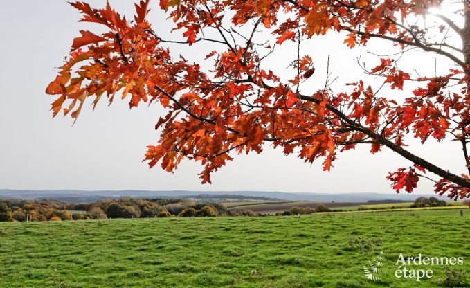 Ferienhaus in Durbuy: 32 Personen, 12 Schlafzimmer, privater Garten, Herz der belgischen Ardennen