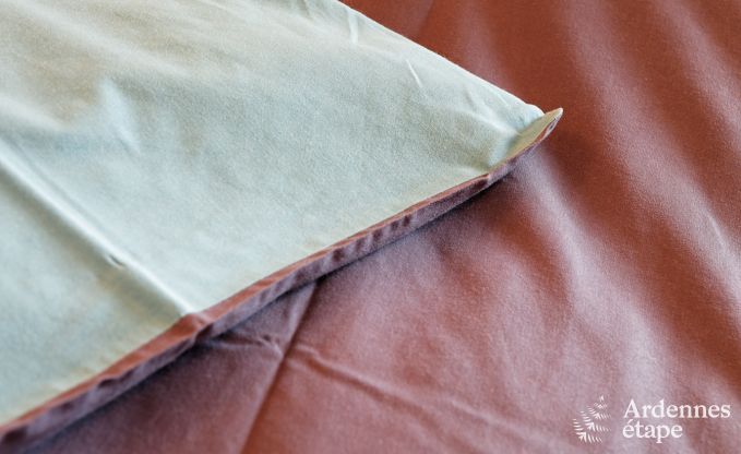 Ferienhaus in Durbuy: 32 Personen, 12 Schlafzimmer, privater Garten, Herz der belgischen Ardennen