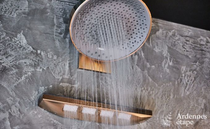 Romantisches Ferienhaus mit Wellness in der N�he von Durbuy