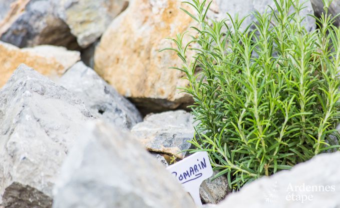 Ferienhaus Durbuy 6 Pers. Ardennen Wellness