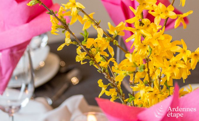 Ferienhaus Durbuy 6 Pers. Ardennen Wellness