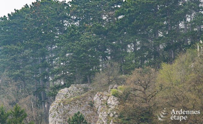 Ferienhaus Durbuy 6 Pers. Ardennen Wellness