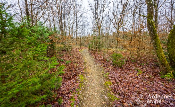 Ferienhaus Durbuy 8 Pers. Ardennen Wellness