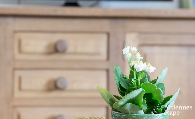 Ferienhaus Durbuy 7 Pers. Ardennen Wellness