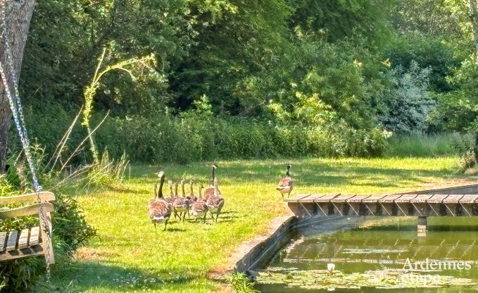 Auergewhnliche Villa Durbuy 10 Pers. Ardennen Schwimmbad