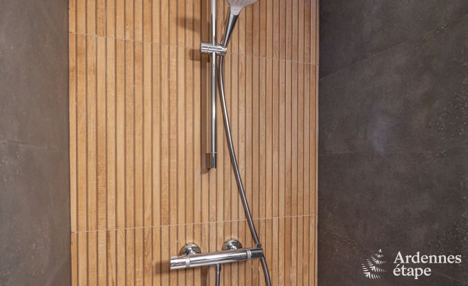 Gerumige Luxusvilla mit Sauna, privatem Garten und Bar, bei Durbuy