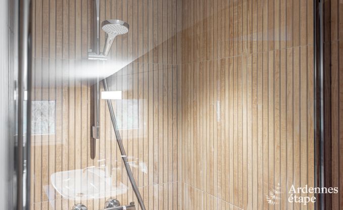 Ger�umige Luxusvilla mit Sauna, privatem Garten und Bar, bei Durbuy