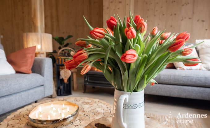 Ger�umige Luxusvilla mit Sauna, privatem Garten und Bar, bei Durbuy