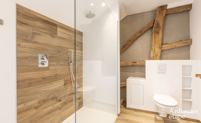 Luxusvilla Durbuy 14 Pers. Ardennen Schwimmbad Wellness Behinderten gerecht