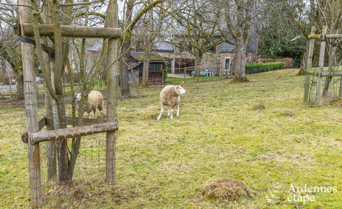 Luxusvilla Durbuy 14 Pers. Ardennen Schwimmbad Wellness Behinderten gerecht