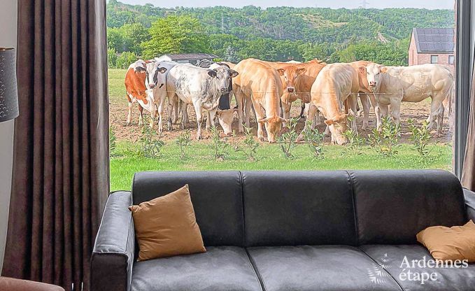 Luxusvilla Durbuy 12 Pers. Ardennen Schwimmbad Wellness