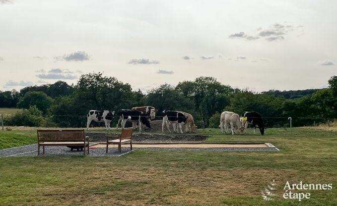 Luxusvilla Durbuy 12 Pers. Ardennen Schwimmbad Wellness