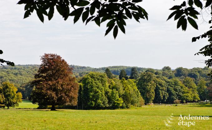 Schloss Durbuy 9 Pers. Ardennen