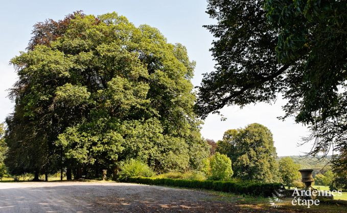 Schloss Durbuy 9 Pers. Ardennen