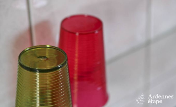 Gro�es Ferienhaus auf dem Bauernhof in Durbuy, 8 Schlafzimmer, 7 Badezimmer, privater Garten, Ausstattung f�r Familien und Radfahrer, Ardennen