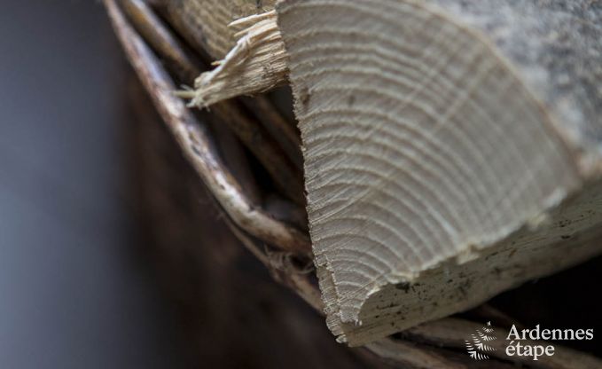 Chalet Durbuy 8 Pers. Ardennen Wellness