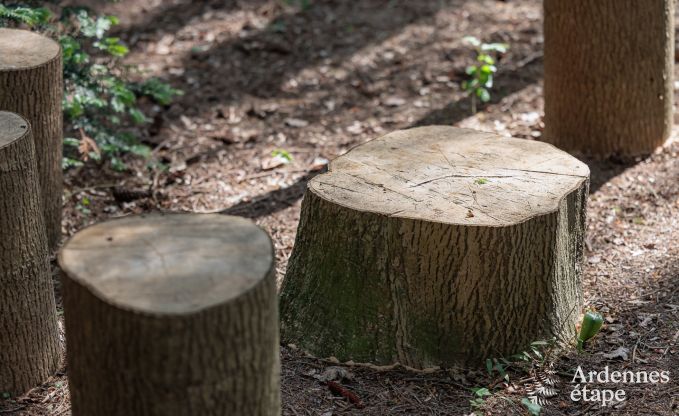 Sehr komfortables Chalet Durbuy 6/7 Pers. Ardennen Wellness