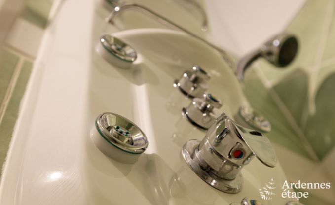 Ferienhaus Durbuy 9 Pers. Ardennen