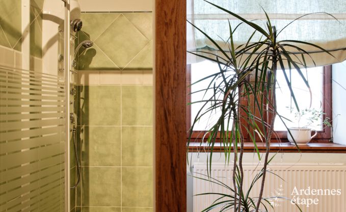 Ferienhaus Durbuy 9 Pers. Ardennen