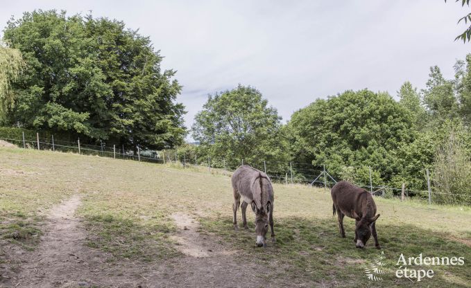 Ferienhaus Durbuy 11/12 Pers. Ardennen