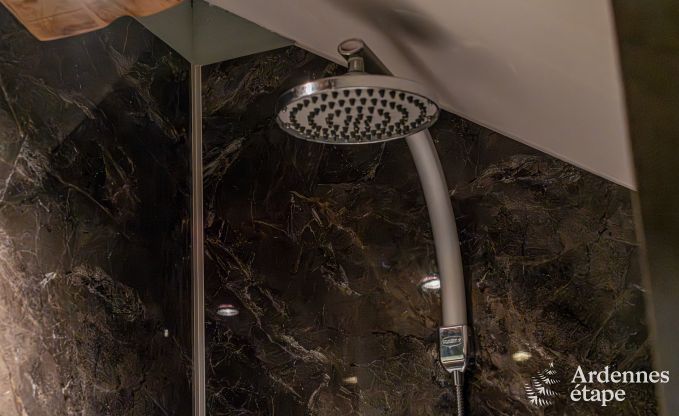 Komfortables Ferienhaus mit Sauna in Durbuy