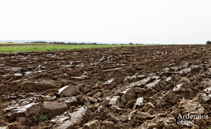 Ger�umiges Ferienhaus in Durbuy: 26 Personen, 9 Schlafzimmer, im Herzen der Ardennen
