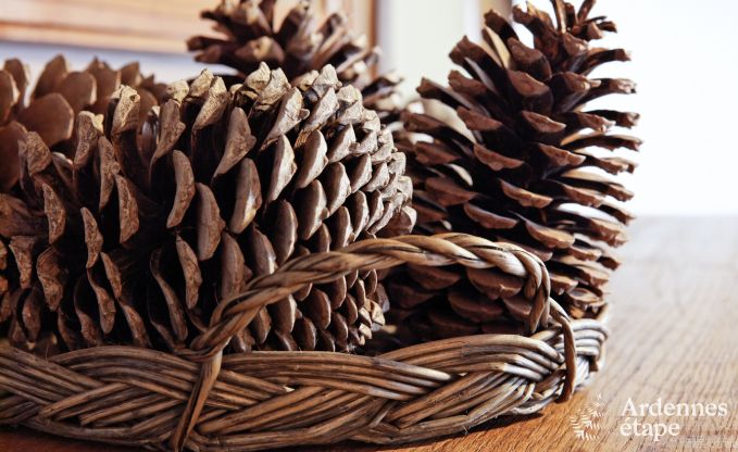 Ger�umiges Ferienhaus in Durbuy: 26 Personen, 9 Schlafzimmer, im Herzen der Ardennen