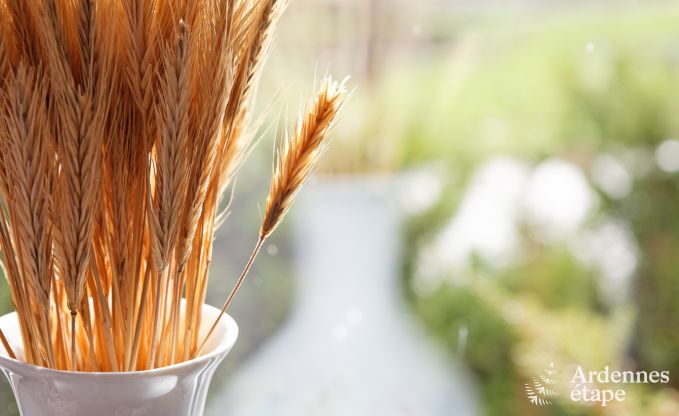 Ferienhaus in Durbuy: 32 Personen, 12 Schlafzimmer, privater Garten, Herz der belgischen Ardennen