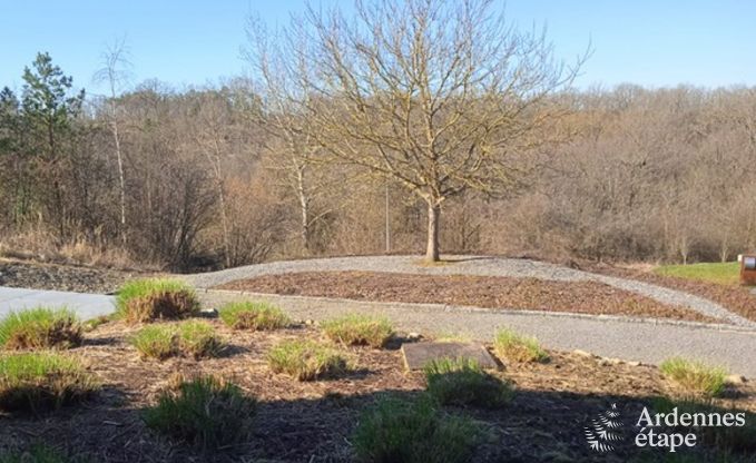 Ferienhaus Durbuy 9 Pers. Ardennen Wellness