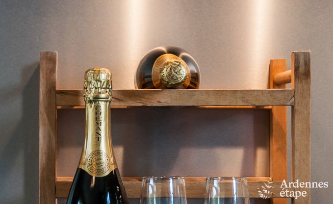 Ferienhaus Durbuy 16/18 Pers. Ardennen Wellness