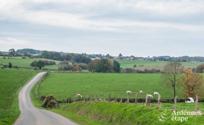 Ferienhaus Durbuy 16/18 Pers. Ardennen Wellness