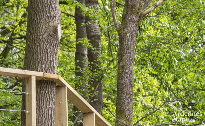 Ferienhaus Durbuy 6 Pers. Ardennen Wellness