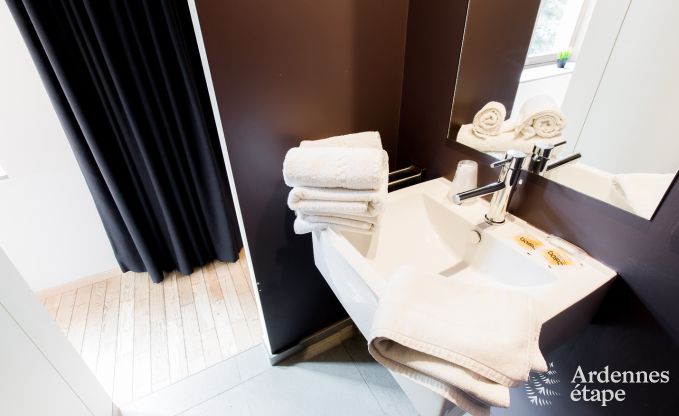 Unvergesslicher Aufenthalt in Durbuy: Ger�umiges Ferienhaus f�r 18 Personen mit Luxusausstattung im Herzen der Ardennen