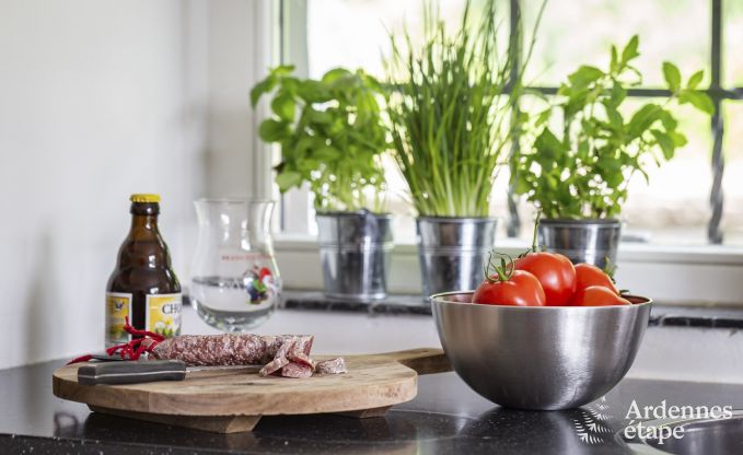 Ferienhaus Durbuy 10 Pers. Ardennen Wellness