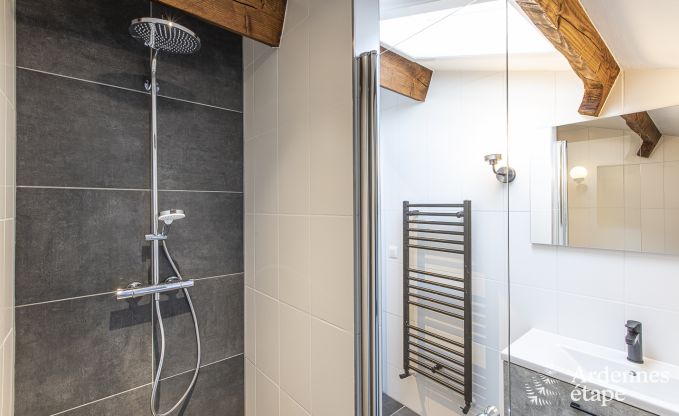 Ferienhaus Durbuy 9 Pers. Ardennen Wellness